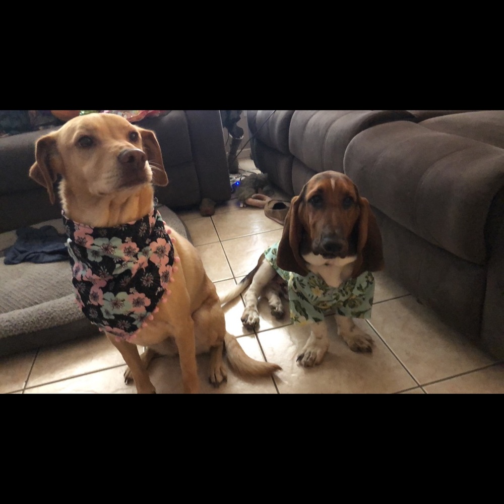 Meet your Posher, Nely